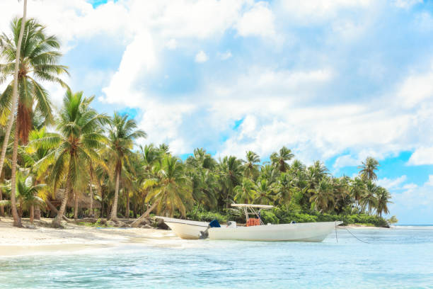 istock Vacation in Dominican Republic 915270994