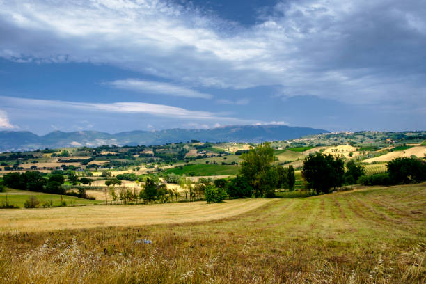 istock Landscape in Umbria at summer 915271744