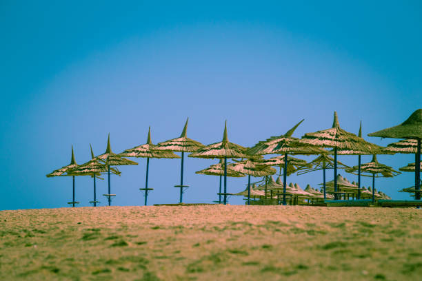 istock silhouette of umbrellas on the beach 915271882