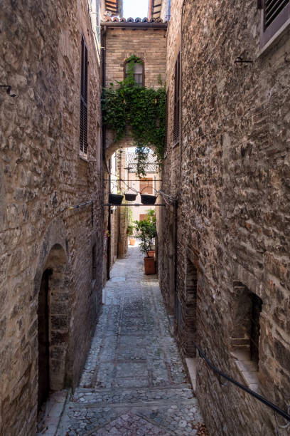 istock Spello, Perugia, medieval city 915272332