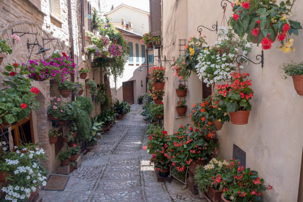 istock Spello, Perugia, medieval city 915274764