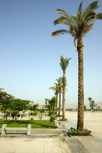 istock luxor temple in egypt 915277428