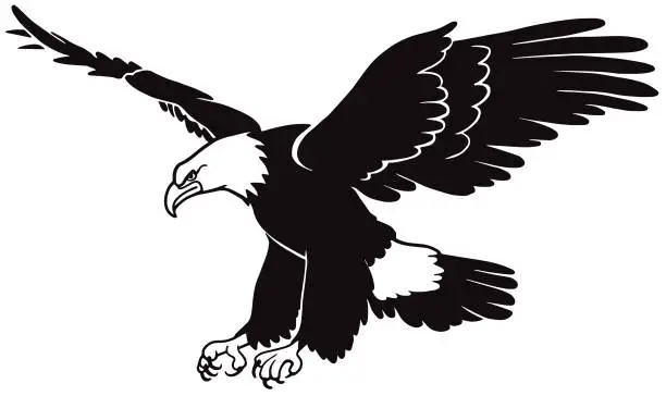 Vector illustration of Eagle