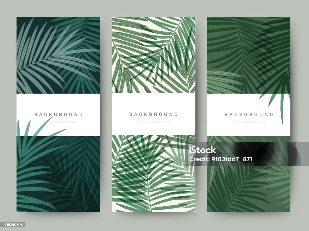 Branding Packaging palm coconut bamboo tree leaf nature background, icon banner voucher, spring summer tropical, vector illustration Leaf stock vector