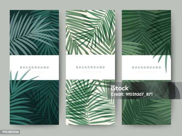 Branding Packaging Palm Coconut Bamboo Tree Leaf Nature Background Icon Banner Voucher Spring Summer Tropical Vector Illustration Stock Illustration - Download Image Now