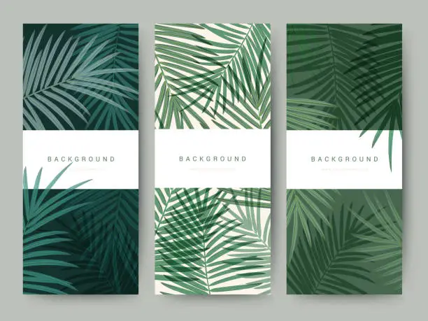 Vector illustration of Branding Packaging palm coconut bamboo tree leaf nature background, icon banner voucher, spring summer tropical, vector illustration