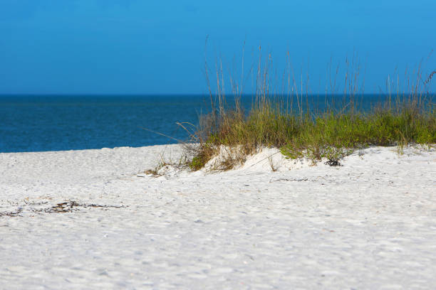 white sand beach in Estero Island Florida