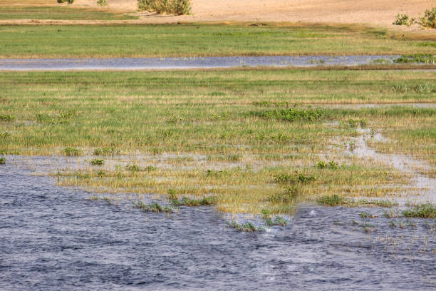 istock nile cruise along the nile river 915291832
