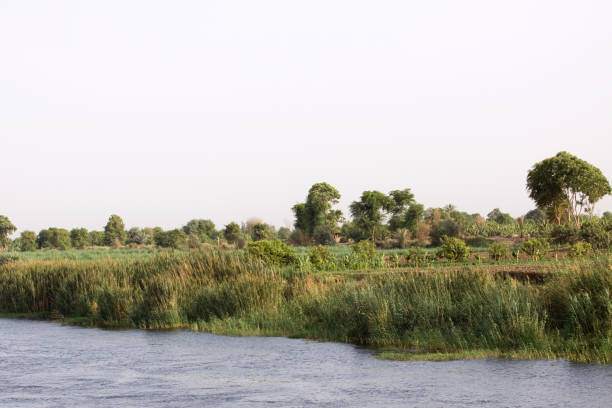 landscape along the river nile during the cruise from luxor to awan