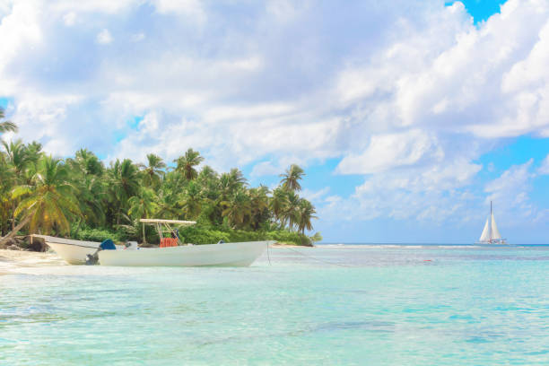 istock Vacation in Dominican Republic 915293976