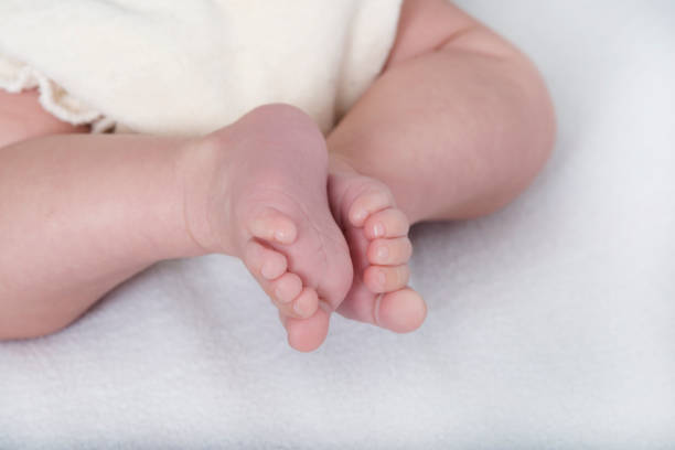istock baby food on white 915294274