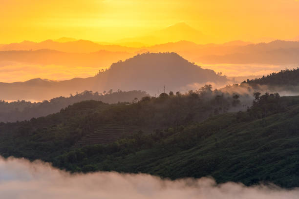 beautiful foggy hills at sunrise stock photo