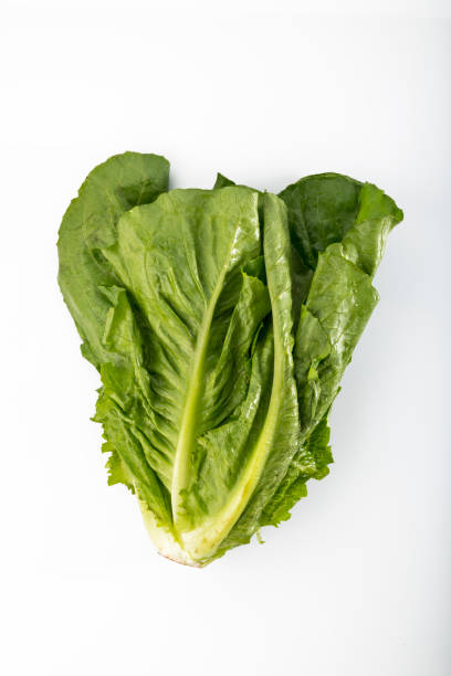 istock Vegetable: Fresh Green Romaine Lettuce Isolated on White Background 915299722