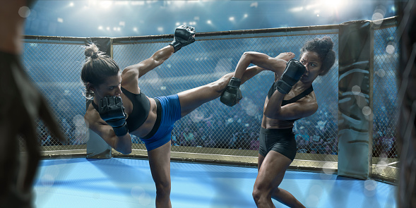 Two professional female mixed martial arts fighters competing in an octagon cage in a floodlit arena full of spectators. One fighter strikes her opponent with leg raised in a roundhouse kick. Her opponent blocks the blow with her arm. Both fighters are wearing shorts/bra tops and protective gloves.