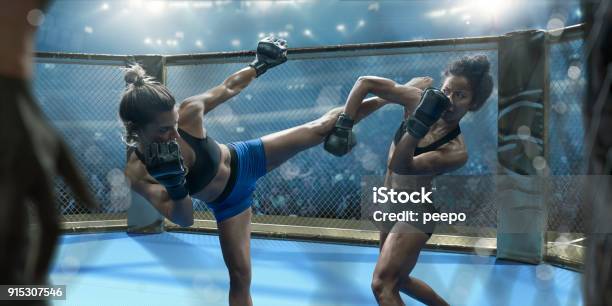 Professional Female Mixed Martial Arts Fighters Fighting In Octagon Stock Photo - Download Image Now