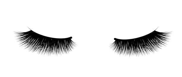 illustrazioni stock, clip art, cartoni animati e icone di tendenza di estensione delle ciglia. un bel make-up. ciglia fuzzy spesse. mascara per volume e lunghezza. - eaves