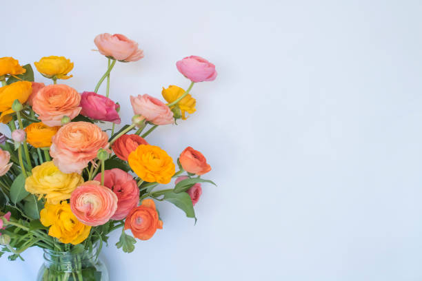 flower background