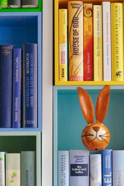 istock Colorful library book shelves packed with books and a brown rabbit face inside 915314852