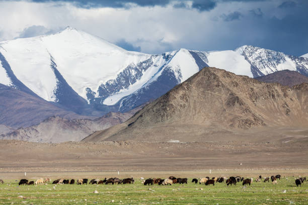 istock Nice view of Pamir in Tajikistan 915316048