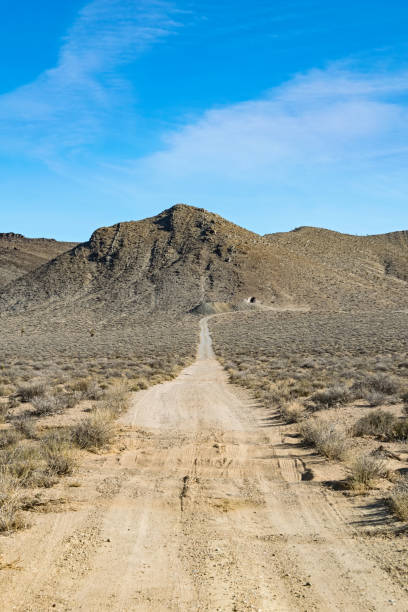 wüste von arizona im januar, usa - sonora state stock-fotos und bilder