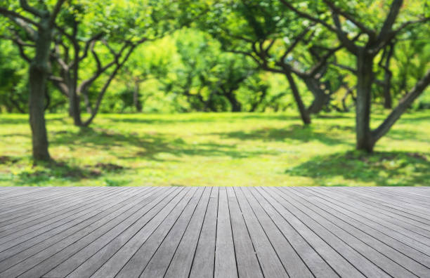 istock Wooden platform and green garden blurred abstract background 915318562