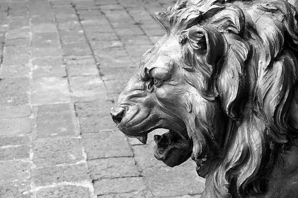 Photo of Lion's Roar, Venice, Italy.