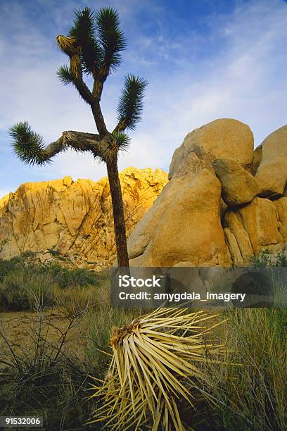 Desierto Al Atardecer Foto de stock y más banco de imágenes de Aire libre - Aire libre, Amarillo - Color, Azul