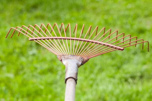 istock rake garden, natural green background, 915323840