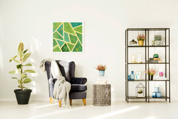 istock Ficus in cozy living room 915328116