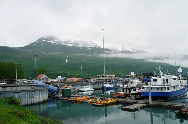 Valdez harbor and town nestled up against West Peak in the background in spring as evidenced by the greenness of the hillside.