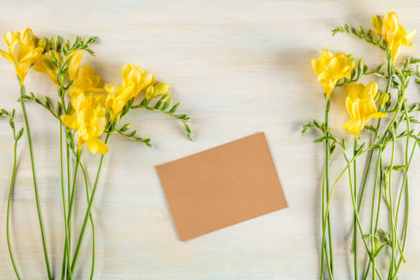istock Spring greeting card with freesia flowers and copy space 915335274