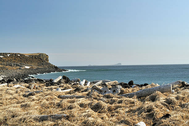 A view of Otter Island( so called because it resembles and Otter floating on its back) from St Paul Island in the Pribilof chain across the Bering sea. Island tundra, driftwood and lava lead down to the waters edge with a lava palisade in the background.