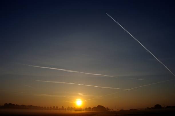 istock Misty lane at sunrise 915339674