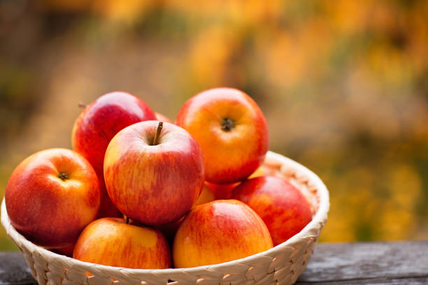 istock Red Apples in the Bowl in the Garden. 915340698