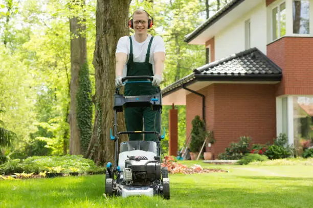 Photo of Making the lawn perfectly even