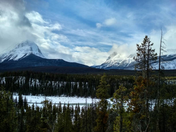 istock Jasper National Park in WInter 915344074