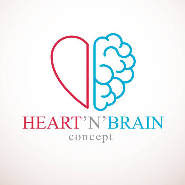Heart and Brain concept, conflict between emotions and rational thinking, teamwork and balance between soul and intelligence. Vector icon design. Heart and Brain concept, conflict between emotions and rational thinking, teamwork and balance between soul and intelligence. Vector icon design. between stock illustrations