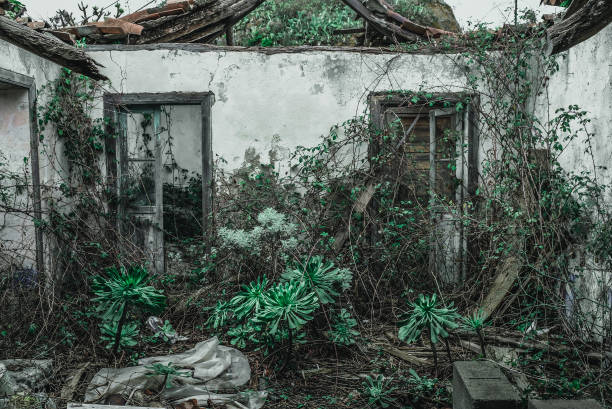 istock Small white abandoned house without roof 915347840