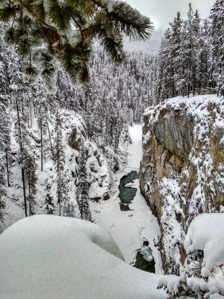 istock Sunwapta Falls in Winter 915348036