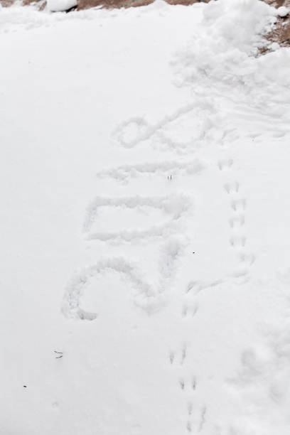 istock 2018 written on white snow 915349688