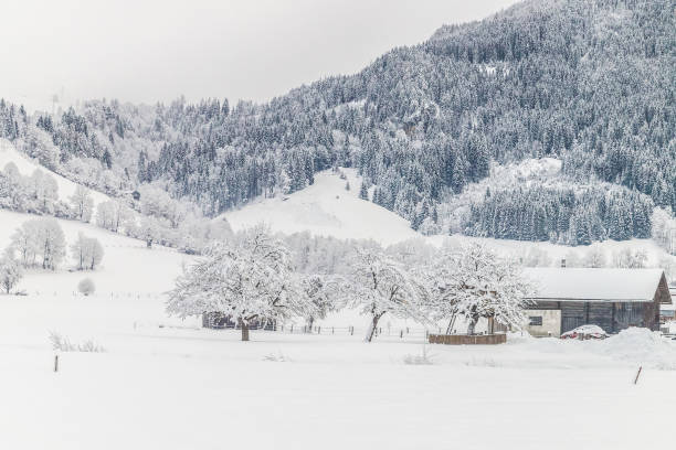 istock Winter wonderland in Austria 915365264