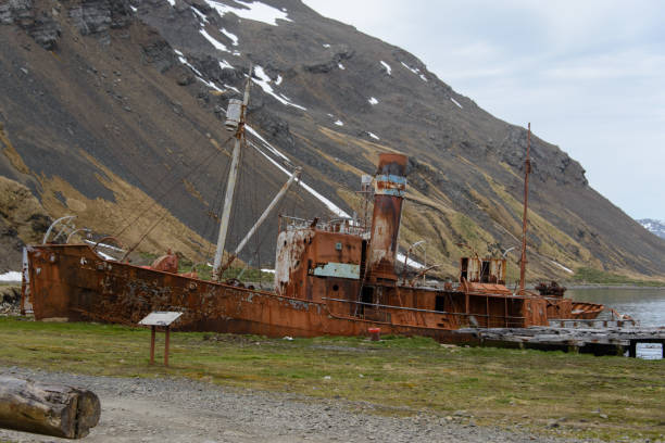 istock Old whaling rusty ship on Grytviken, South Georgia 915366814