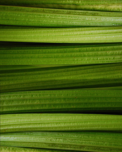 green cooking background stock photo