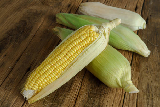 istock Fresh corn on the old wooden background 915371560