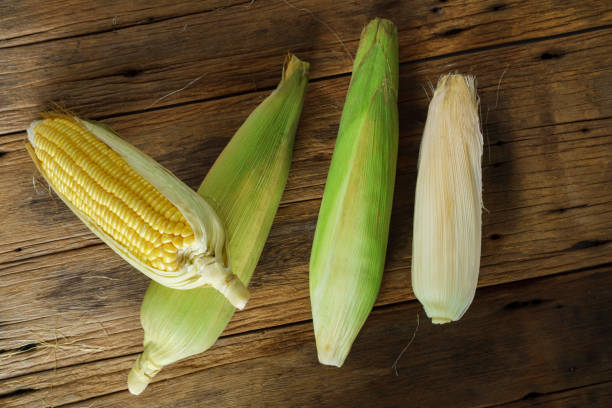 istock Fresh corn on the old wooden background 915371568