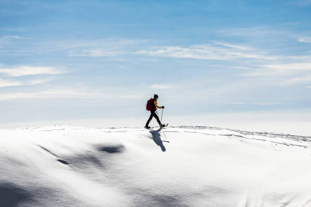 donna ciasci sul campo di neve - snowshoeing foto e immagini stock