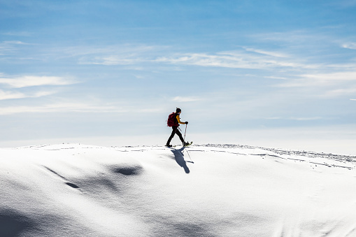 Snowshoeing