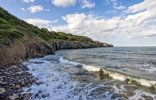 istock Waves roll onto the shore beside the cliff. 915376862