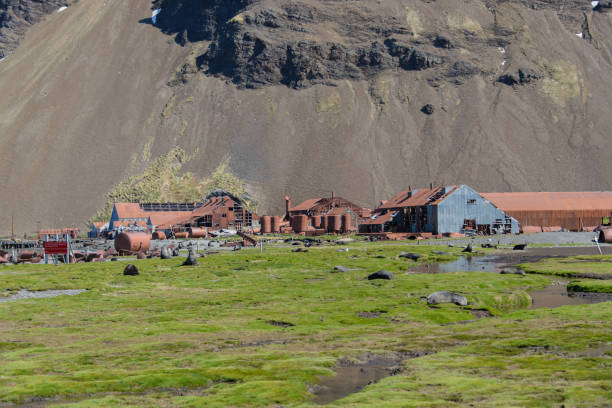 istock Old whaling station on South Georgia 915379930