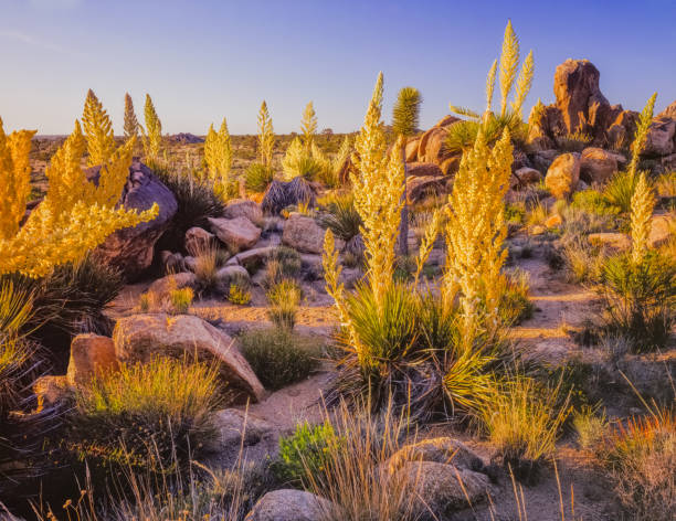 Extreme red rock formations; strange looking; desert getaway; remote outing